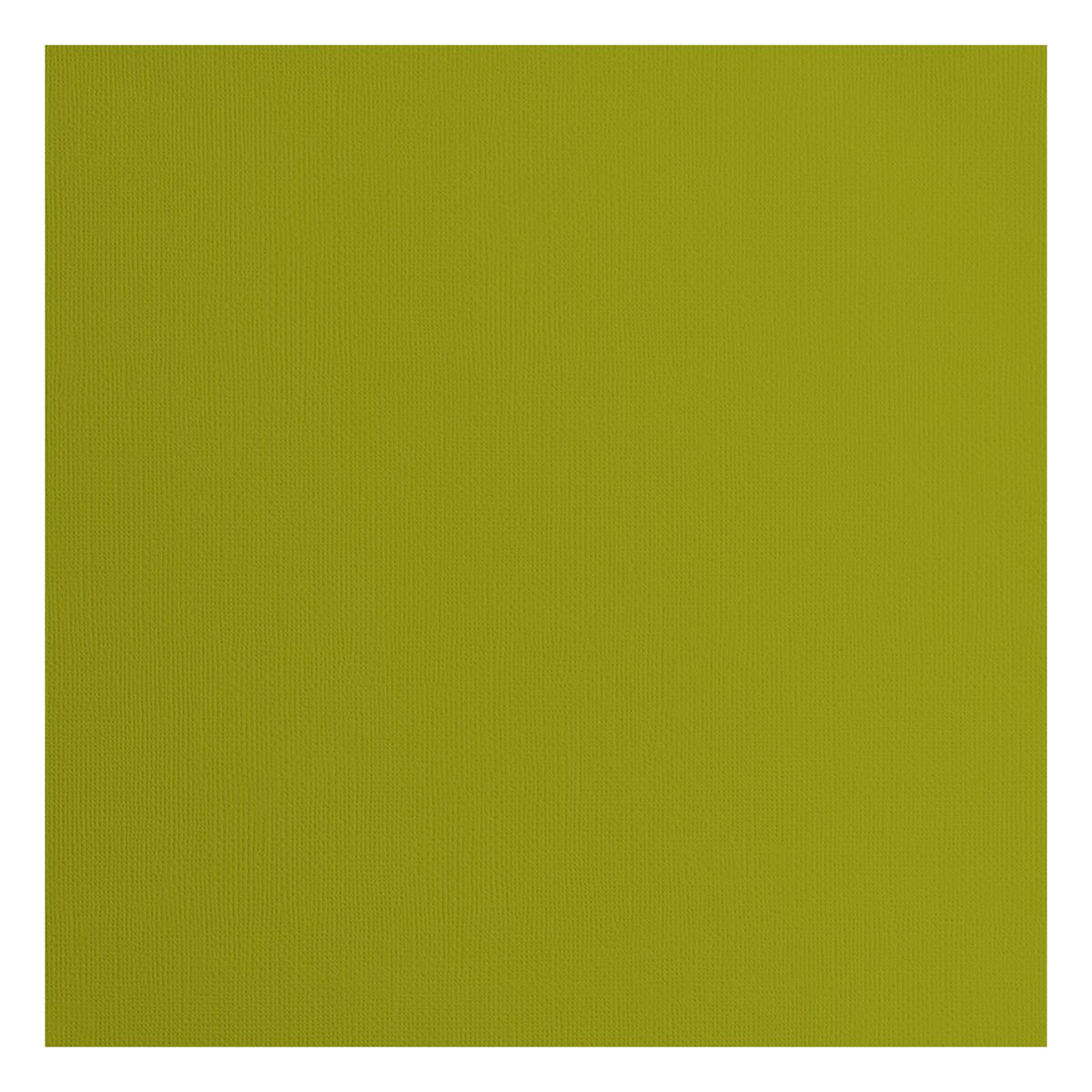 Florenz • Kartonpapier 216g, Struktur 30,5x30,5cm, Farn 20x