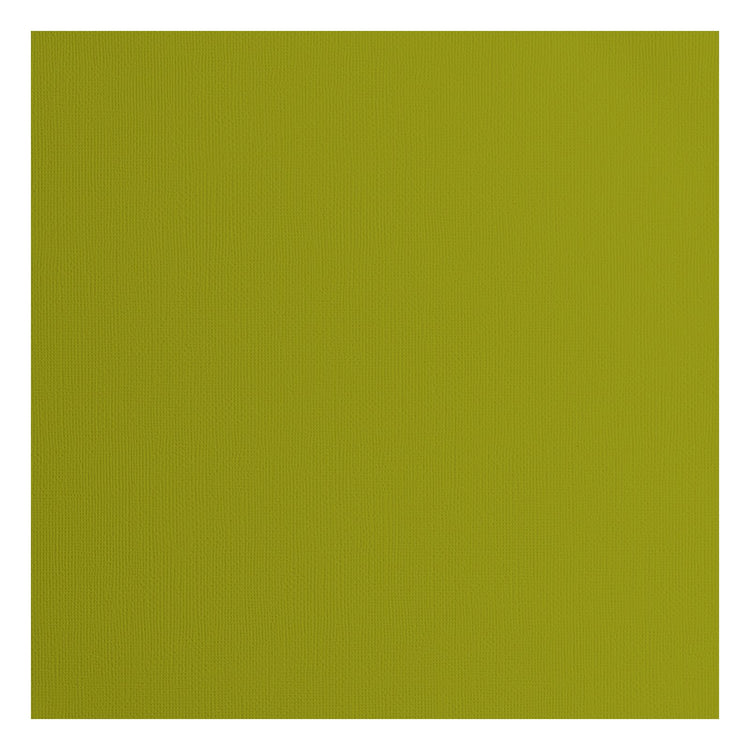 Florenz • Kartonpapier 216g, Struktur 30,5x30,5cm, Farn 20x