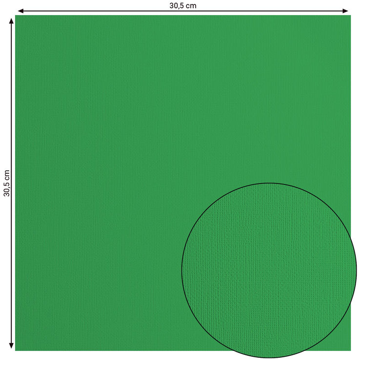 Florenz • Kartonpapier 216 g, Struktur 30,5 x 30,5 cm, Stechpalme, 20 x