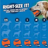 Chuckit Ultra Bal - afbeelding 4