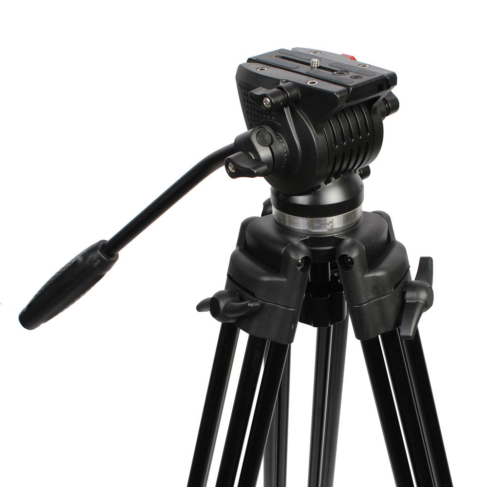 NEST VIDEO TROMTOD NT-777 + FLIC-DEUKTEN