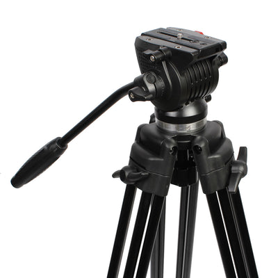 NEST VIDEO TROMTOD NT-777 + FLIC-DEUKTEN