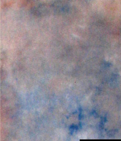 Falcon Eyes Hintergrundtuch S122 2,9x7 m