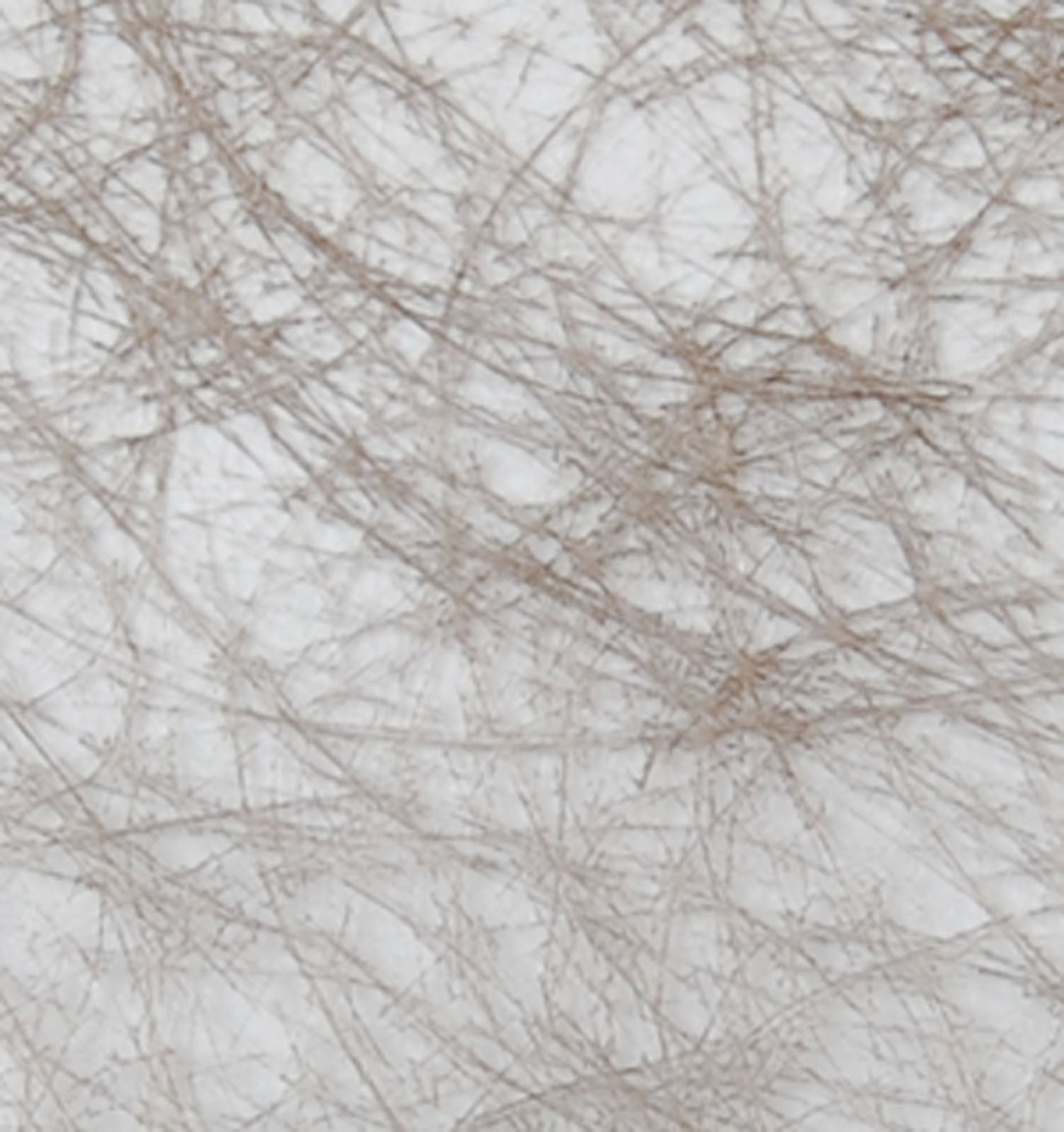 Vaessen creative • Sizoweb 5mx30cm in Tube Taupe