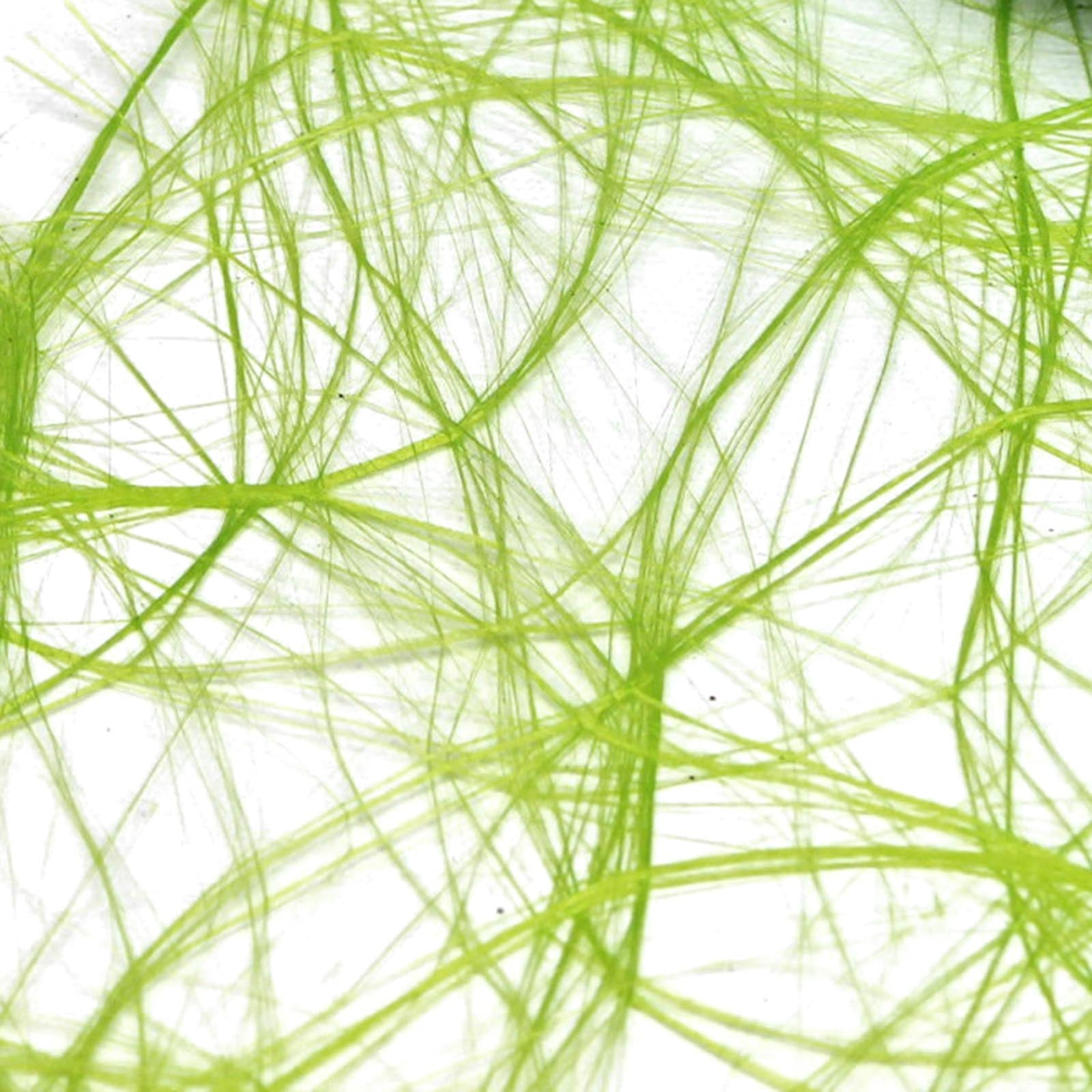 Vaessen creative • Sizoweb 5mx30cm in Limettenröhre