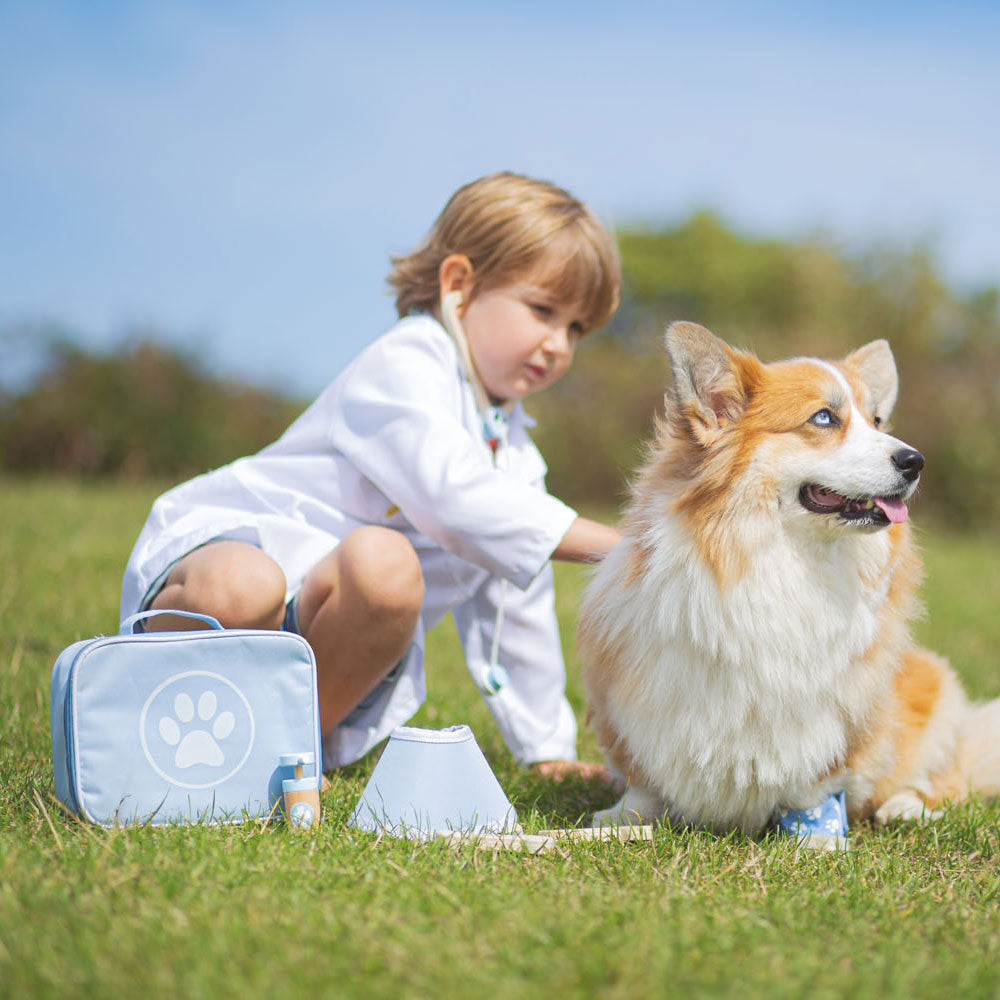 Bigjigs Animal Doctor Koffer