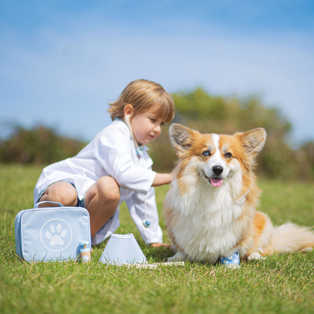 Bigjigs Animal Doctor Koffer