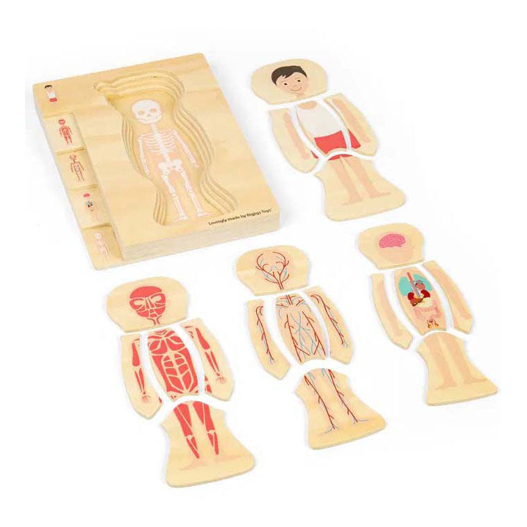 Bigjigs Holzanatomiepuzzel - Junge, 26st.