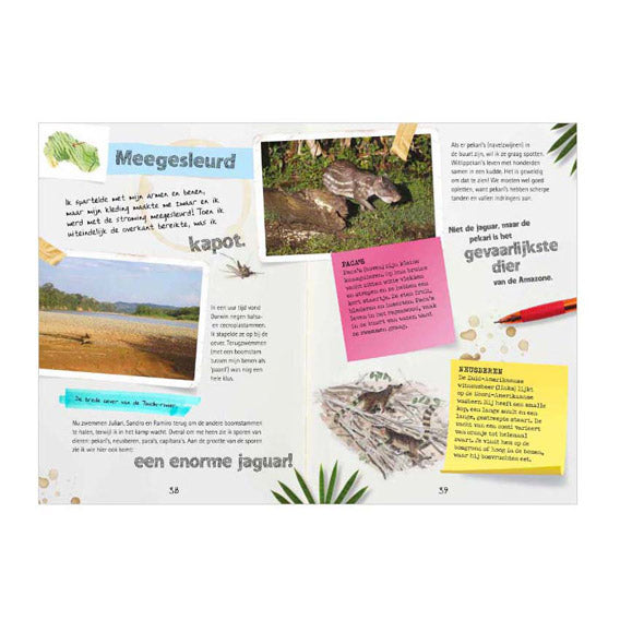 Zentrales Buch, Haustagebuch eines Entdeckers – Expedition Amazon