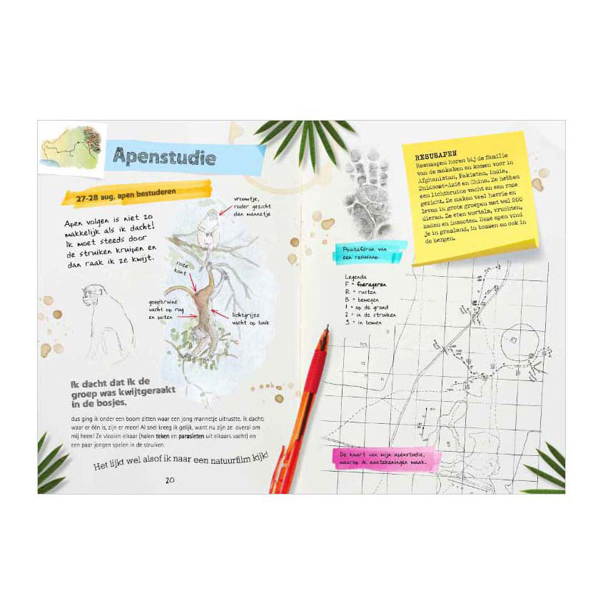 Zentrales Buchhaus-Tagebuch eines Entdeckers – Indien-Expedition