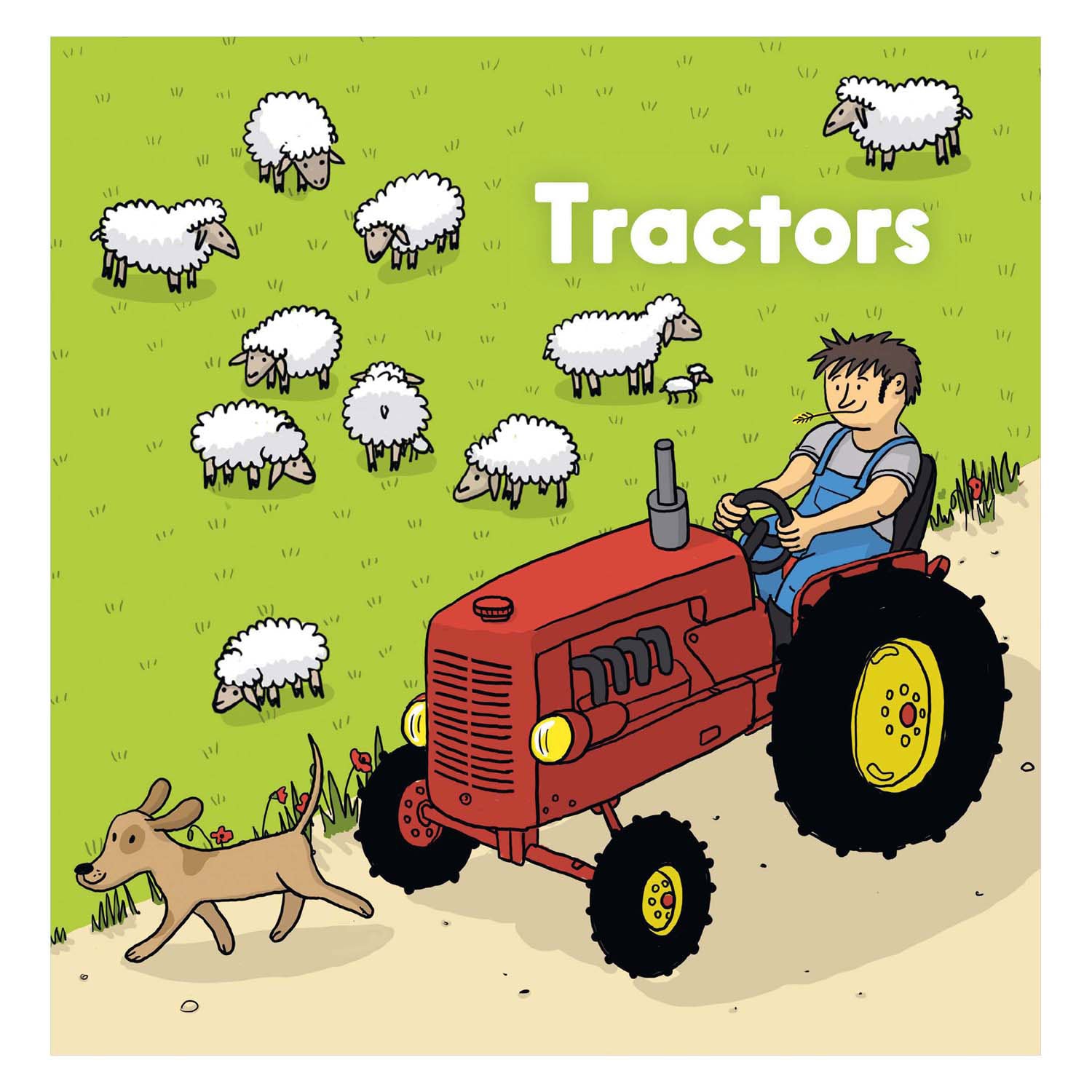 Zentralbuch Haustraktoren Kinderbuch