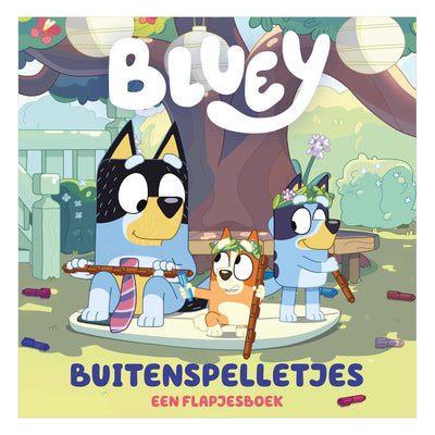 Zentrales Bücherhaus für Spiele im Freien – Klappenbuch