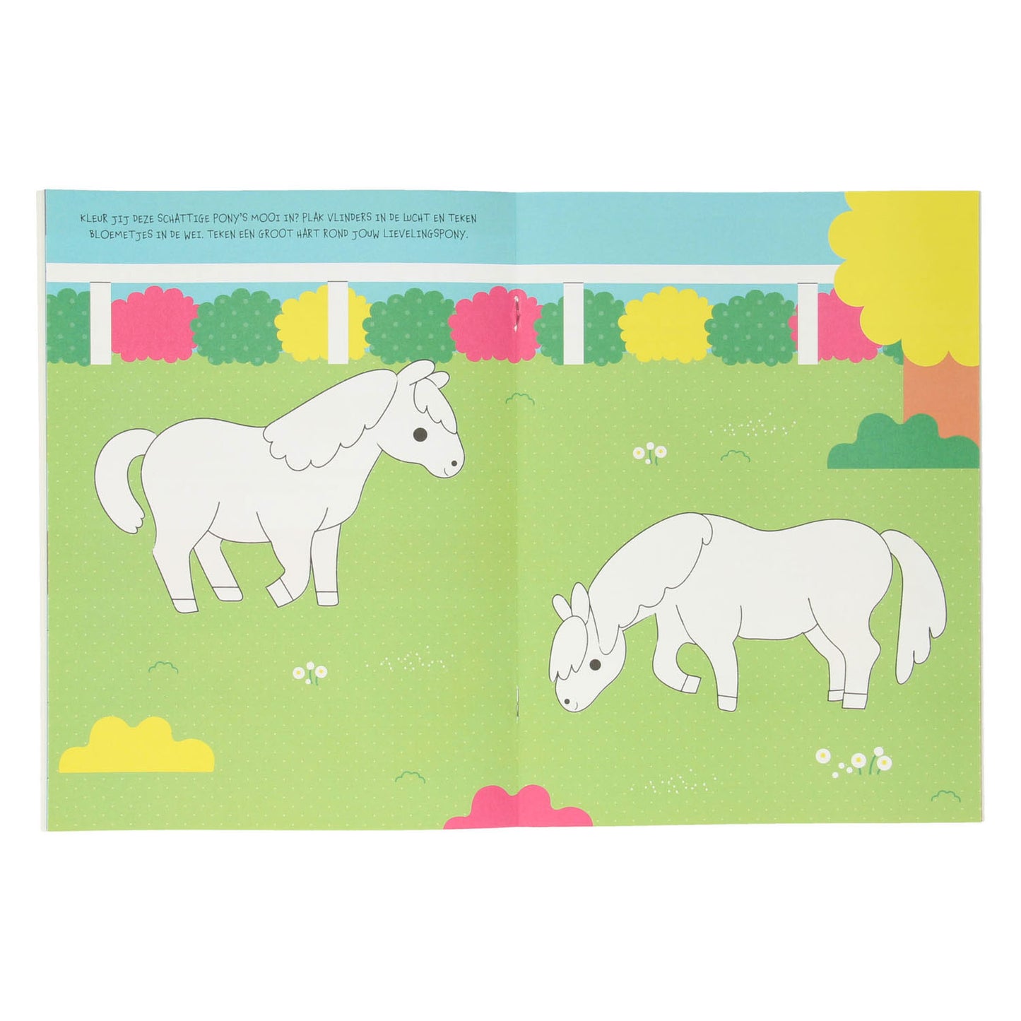 Standardverlag My Cleed Activity Book Horses and Ponys