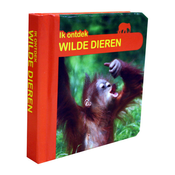 Mundkarten Ich entdecke wilde Tiere Buch