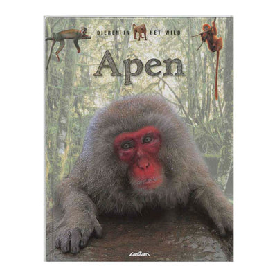 Laternenverleger Wildtiere – Affen