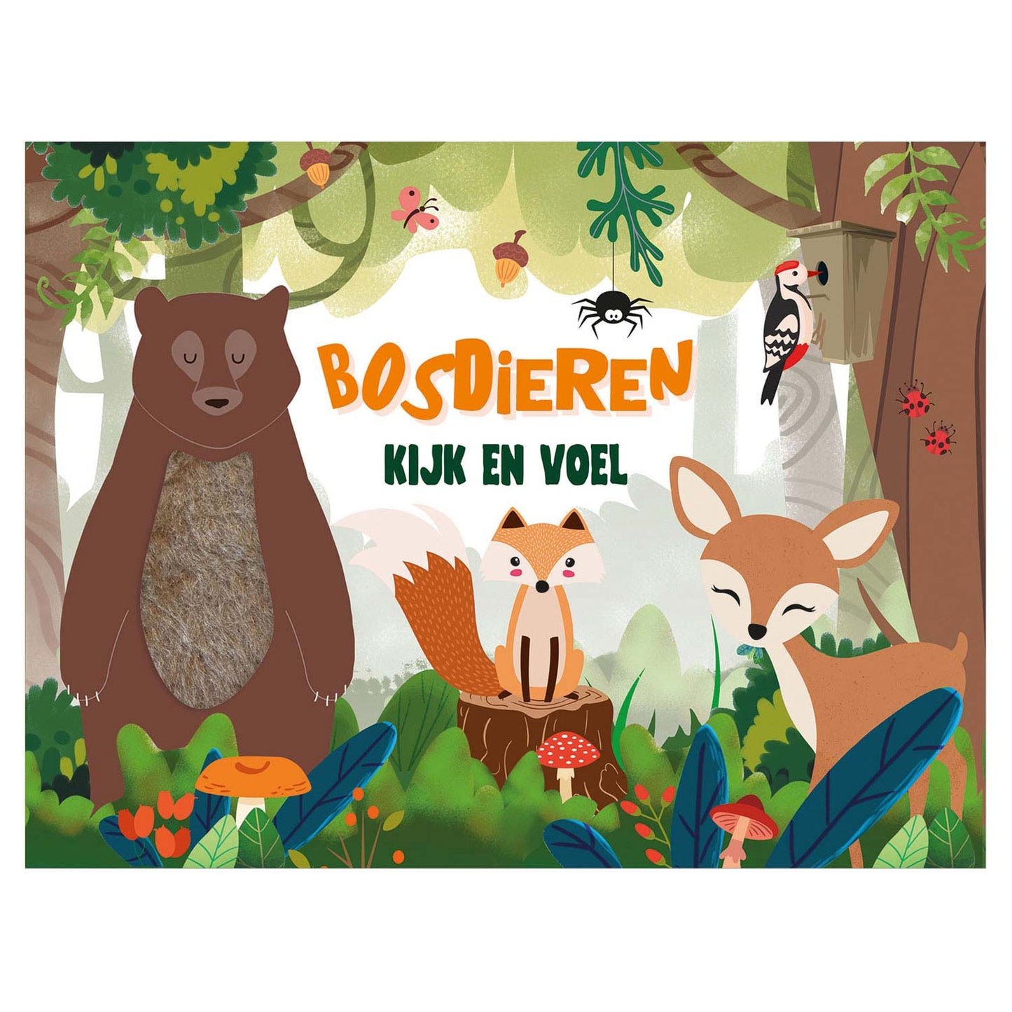Schauen und fühlen - Waldtiere