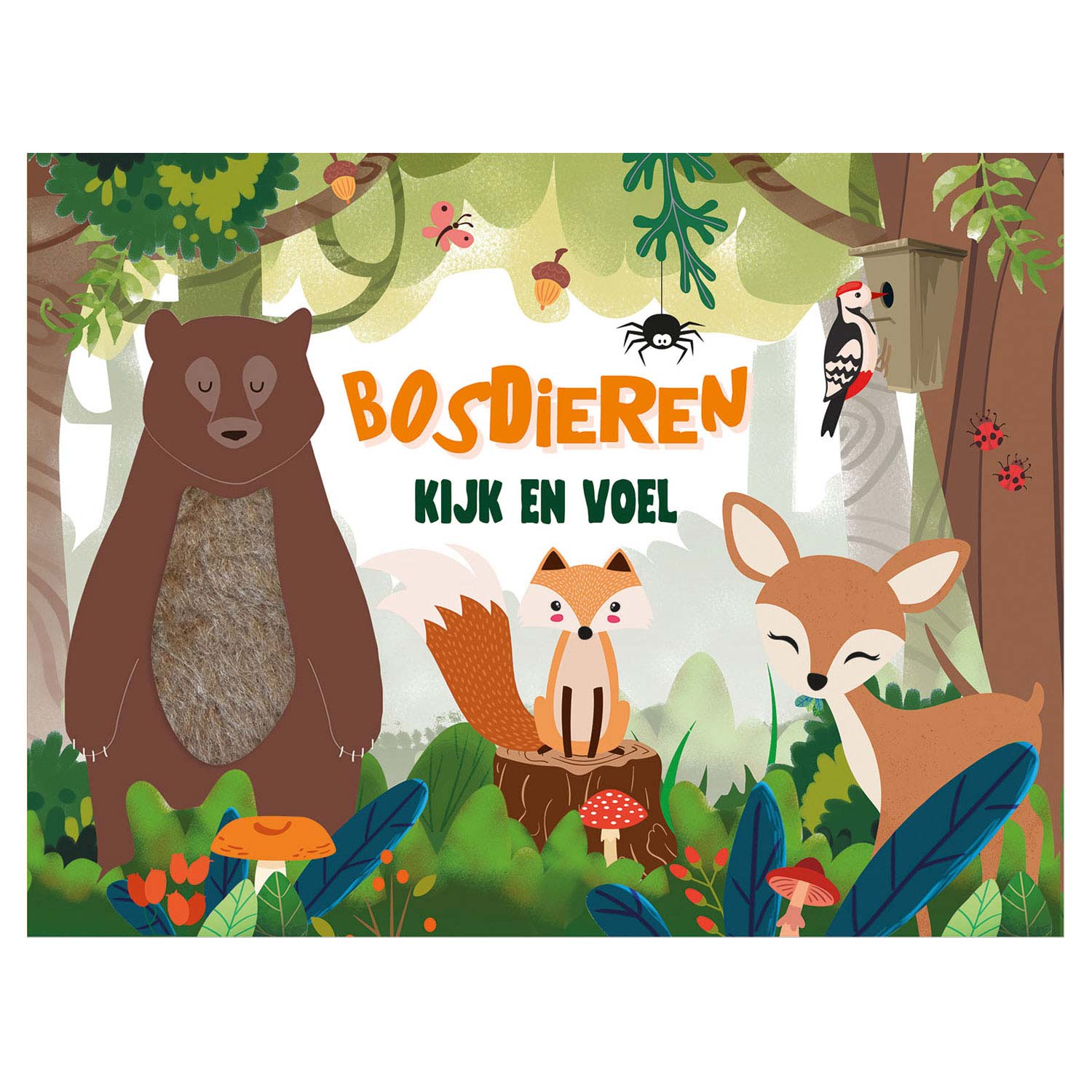 Schauen und fühlen - Waldtiere