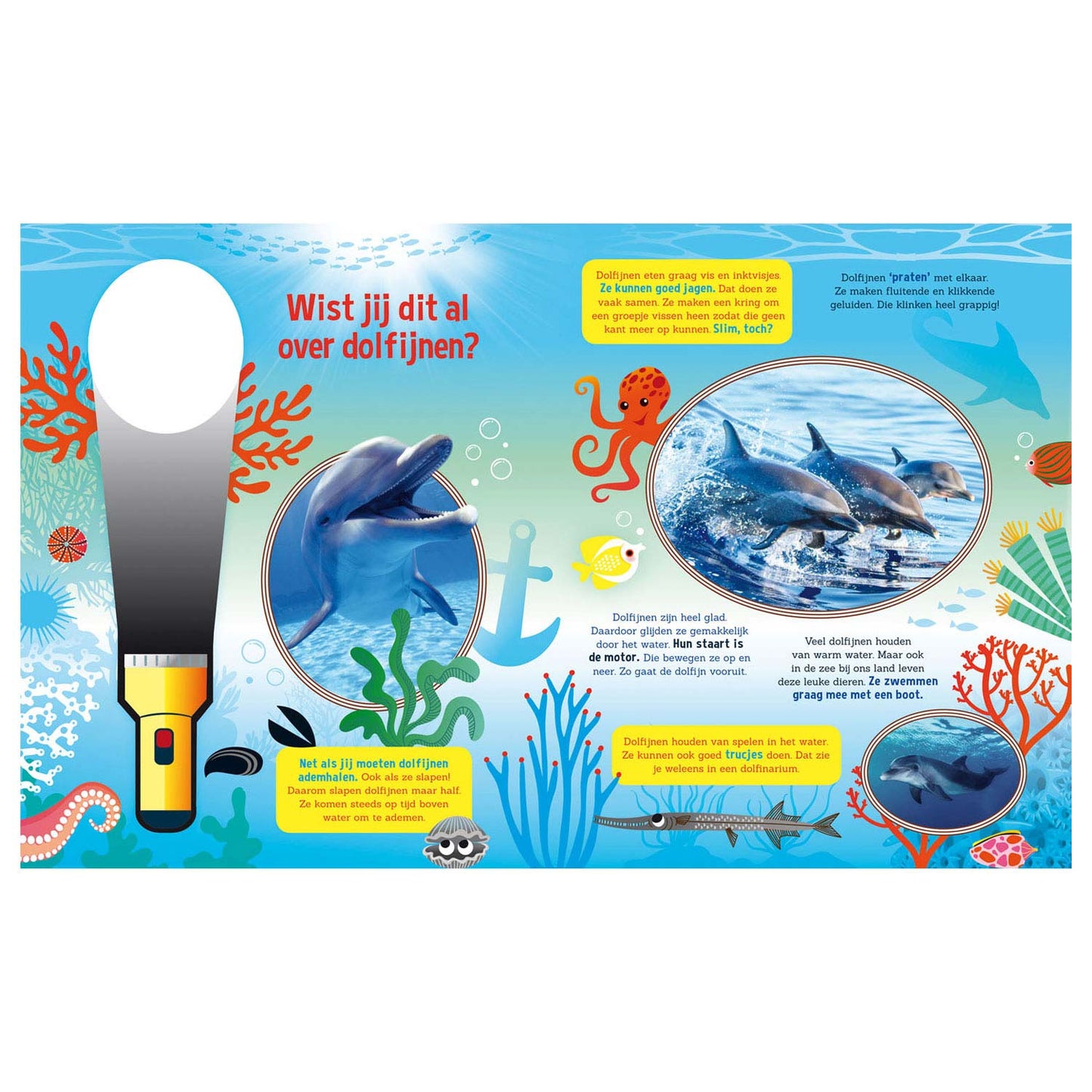 Suchen Sie nach Delfinen + Papptastlampe