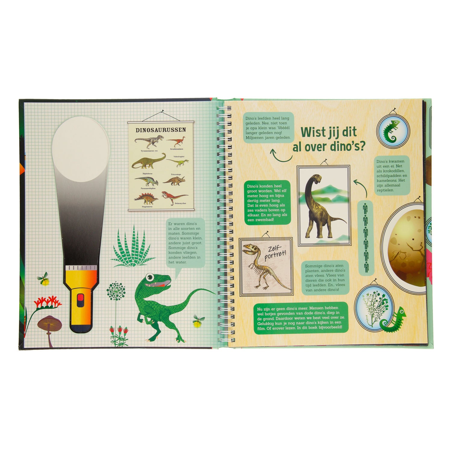 Suchen Sie in der Dinobos + Pappe Taschenlampe