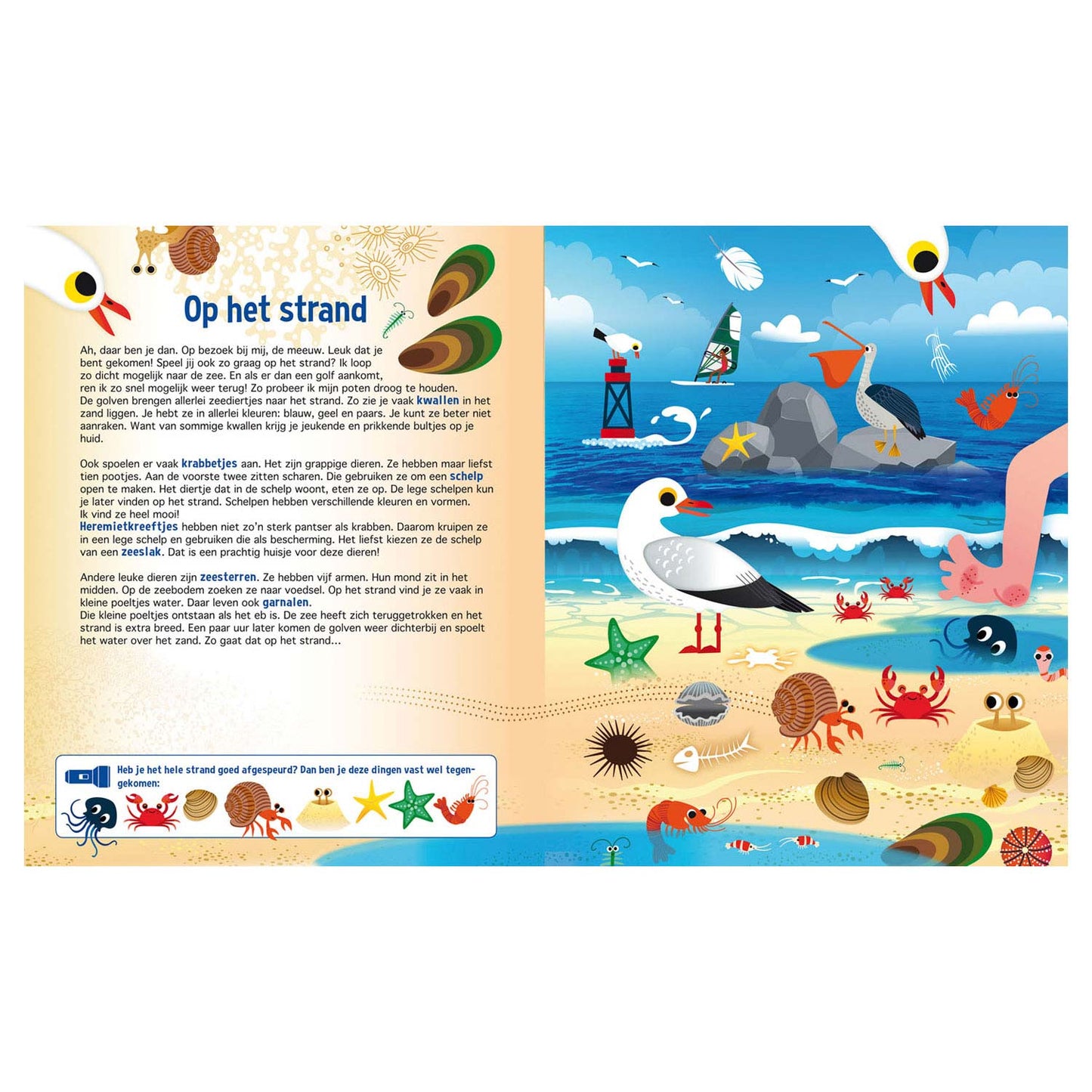 Suche in der Animal World + Papp Taschenlampe