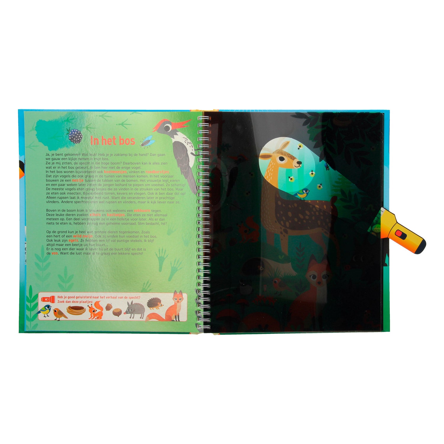 Suche in der Animal World + Papp Taschenlampe