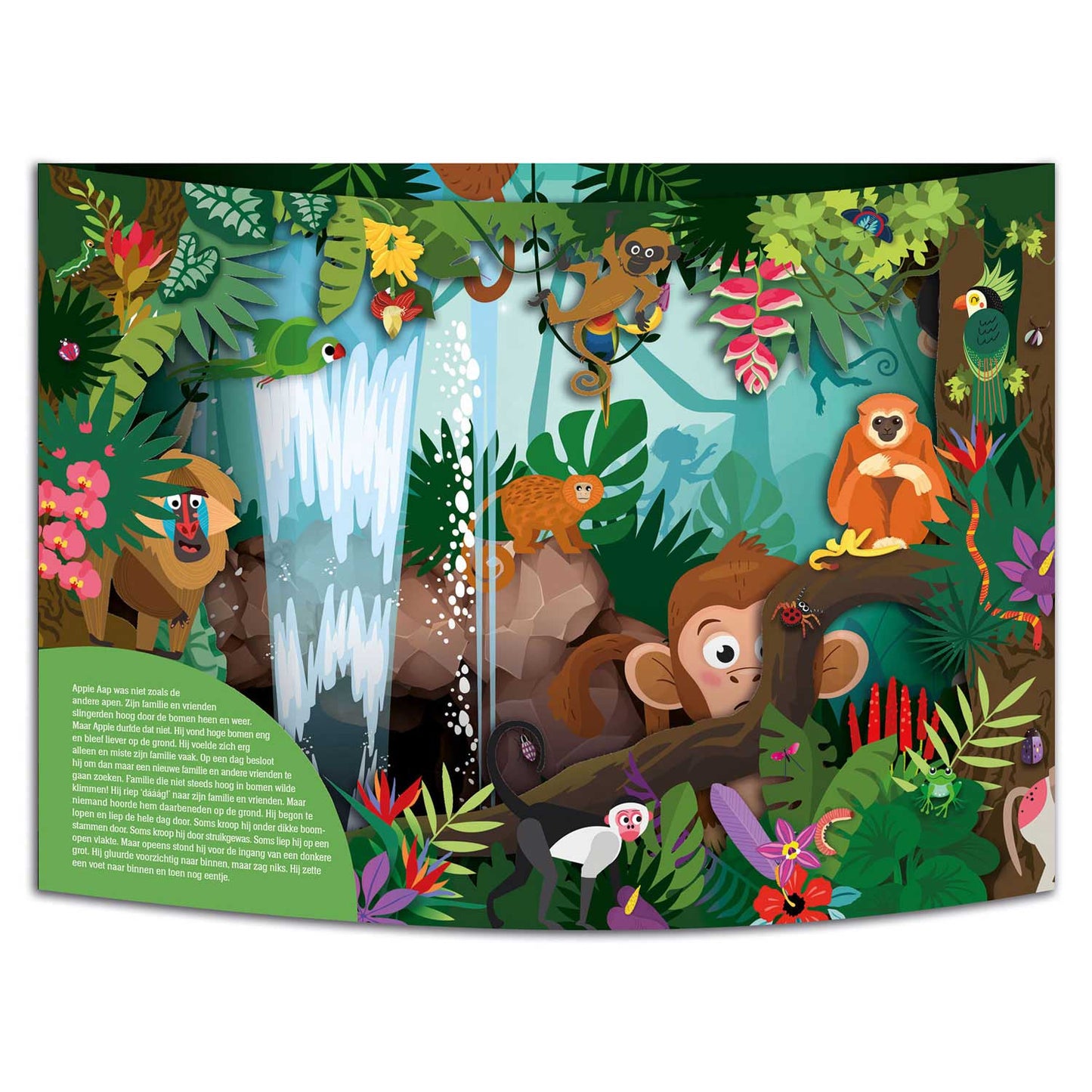 Wunderbarer Welt -Pop -up -Buch - Abenteuer im Dschungel