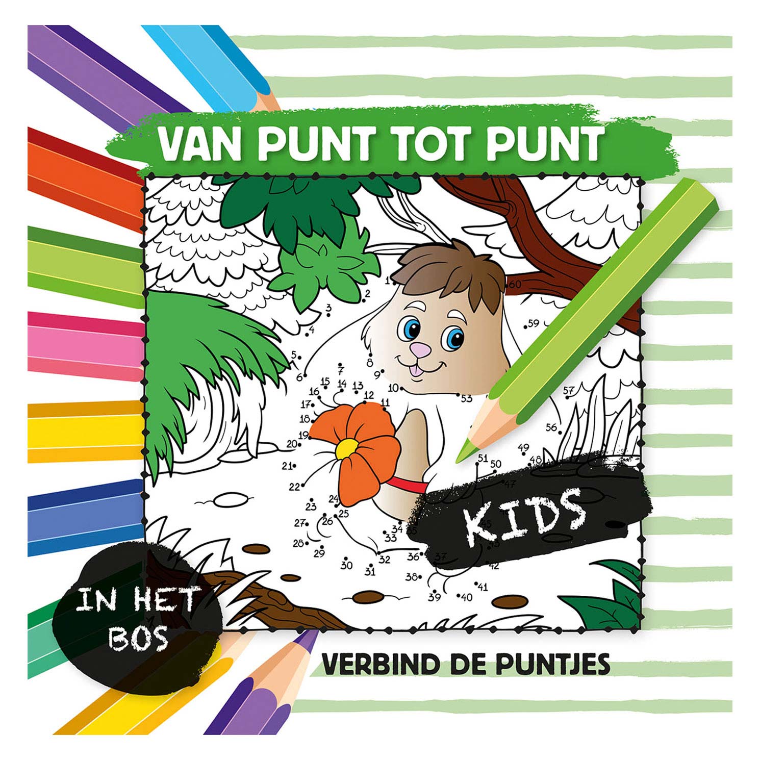 Von Punkt zu Punkt - im Wald