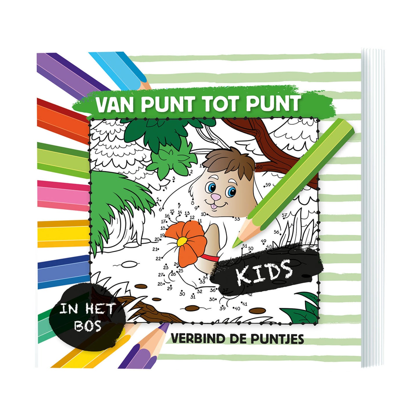 Von Punkt zu Punkt - im Wald