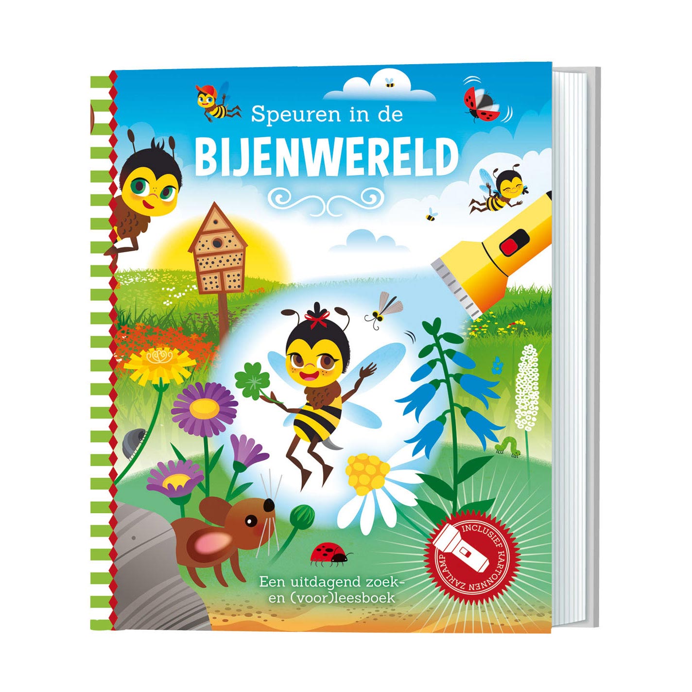 Suche in der Bienenwelt + Papptastlampe Taschenlampe