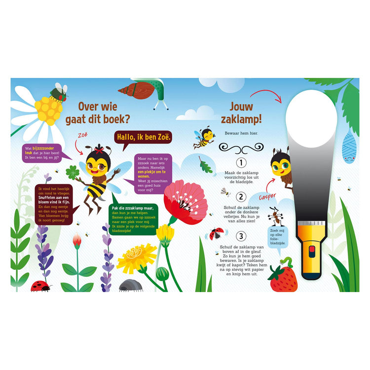 Suche in der Bienenwelt + Papptastlampe Taschenlampe