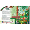 Suche in der Bienenwelt + Papptastlampe Taschenlampe