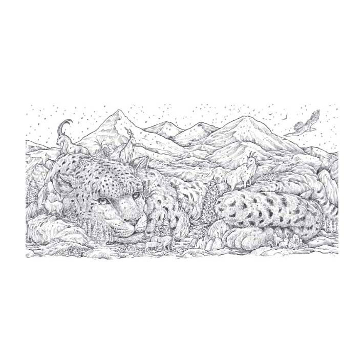 Malbuch „Tierwelt“ von Lantern Publishers