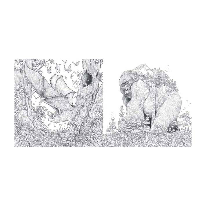 Malbuch „Tierwelt“ von Lantern Publishers