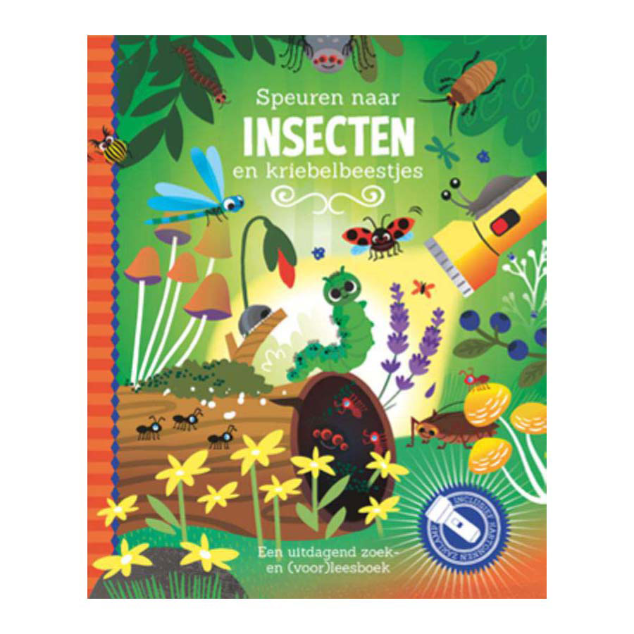 Laternenverleger suchen nach Insektensuchbuch mit Taschenlampe aus Pappe