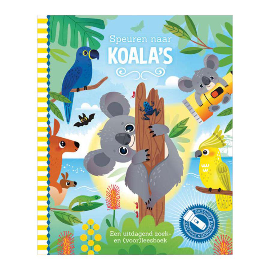 Laternenverleger suchen nach Koalas