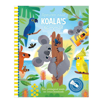 Laternenverleger suchen nach Koalas