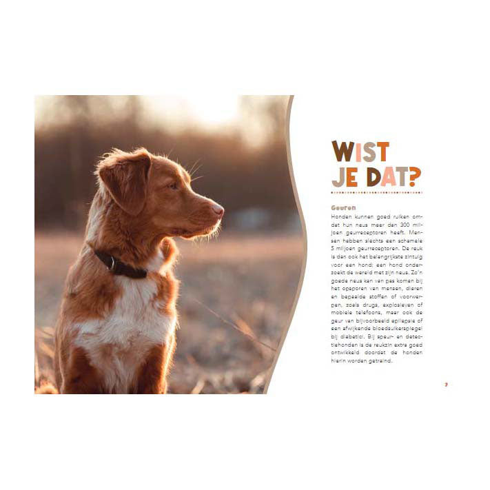 Lantern Publishers Handbuch für Hundebesitzer