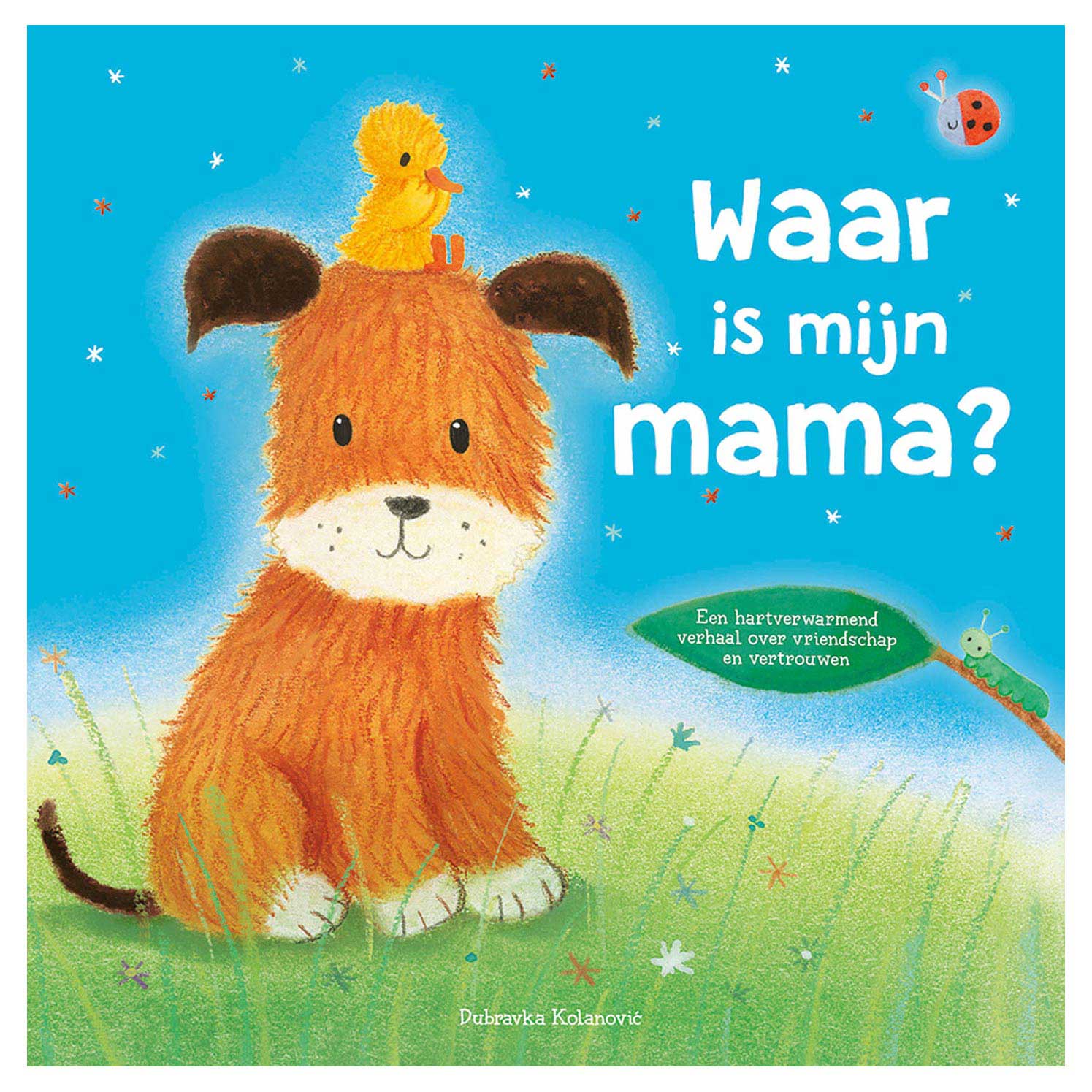 Rebo Publishers Wo ist meine Mutter?
