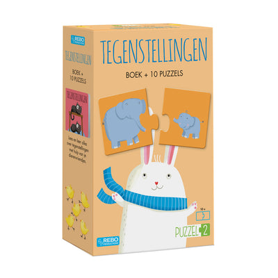 REBO Publishers puzzle2 Buch Widersprüche mit 10 Rätseln