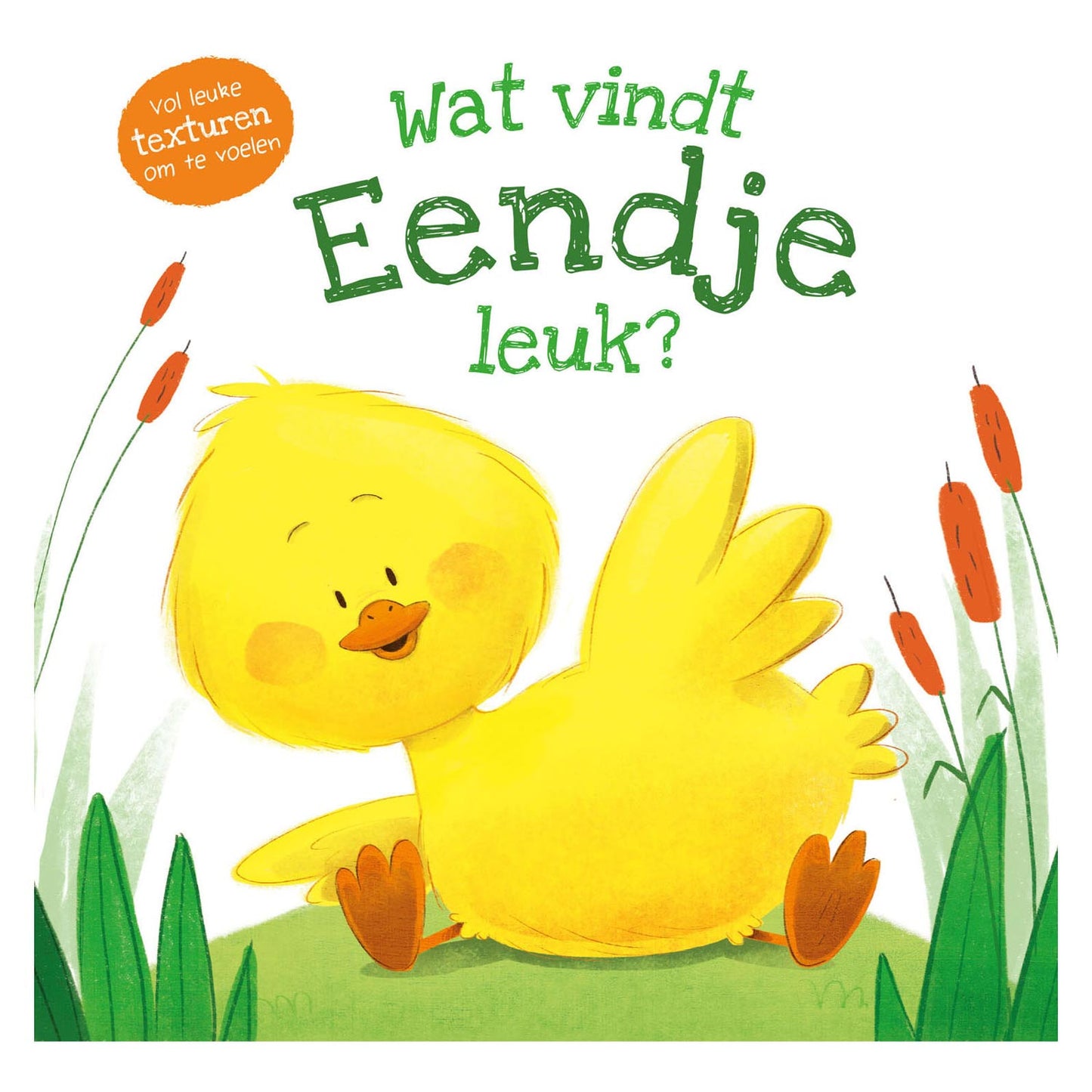 REBO Publishers Feel Book Was ist das Guck?