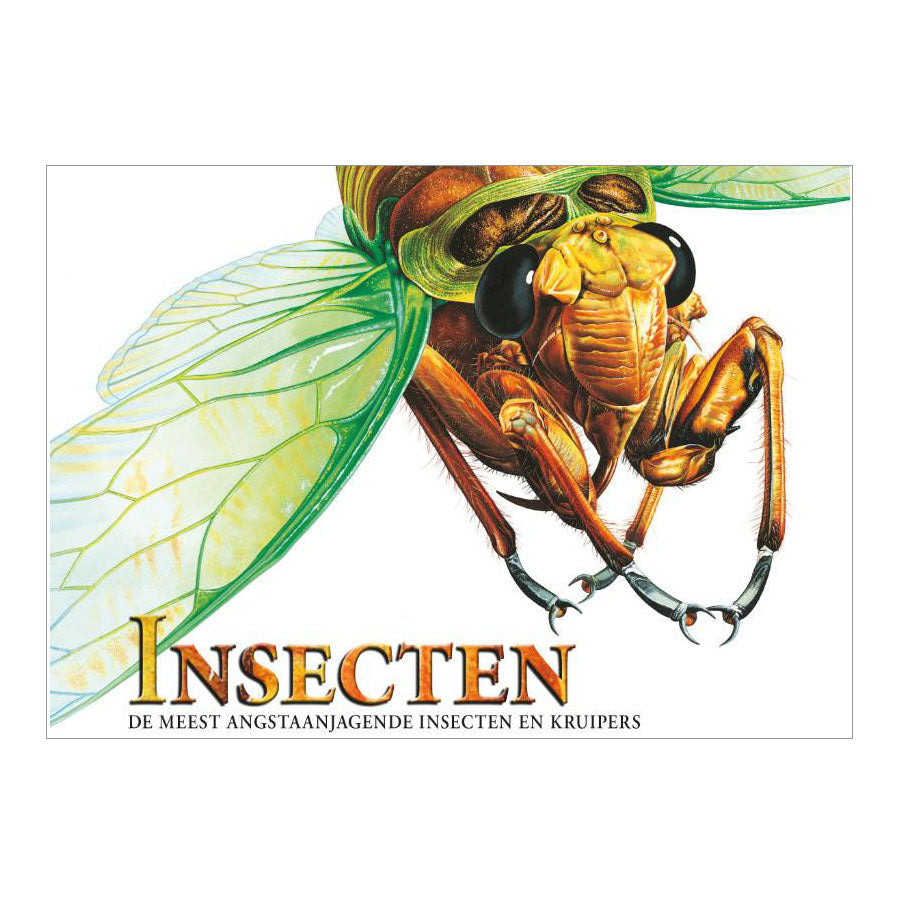 Rebo Publishers Book über Insekten, erschreckende Kreaturen