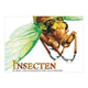 Rebo Publishers Book über Insekten, erschreckende Kreaturen