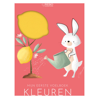 Rebo Publishers Colors First Feel Book neu