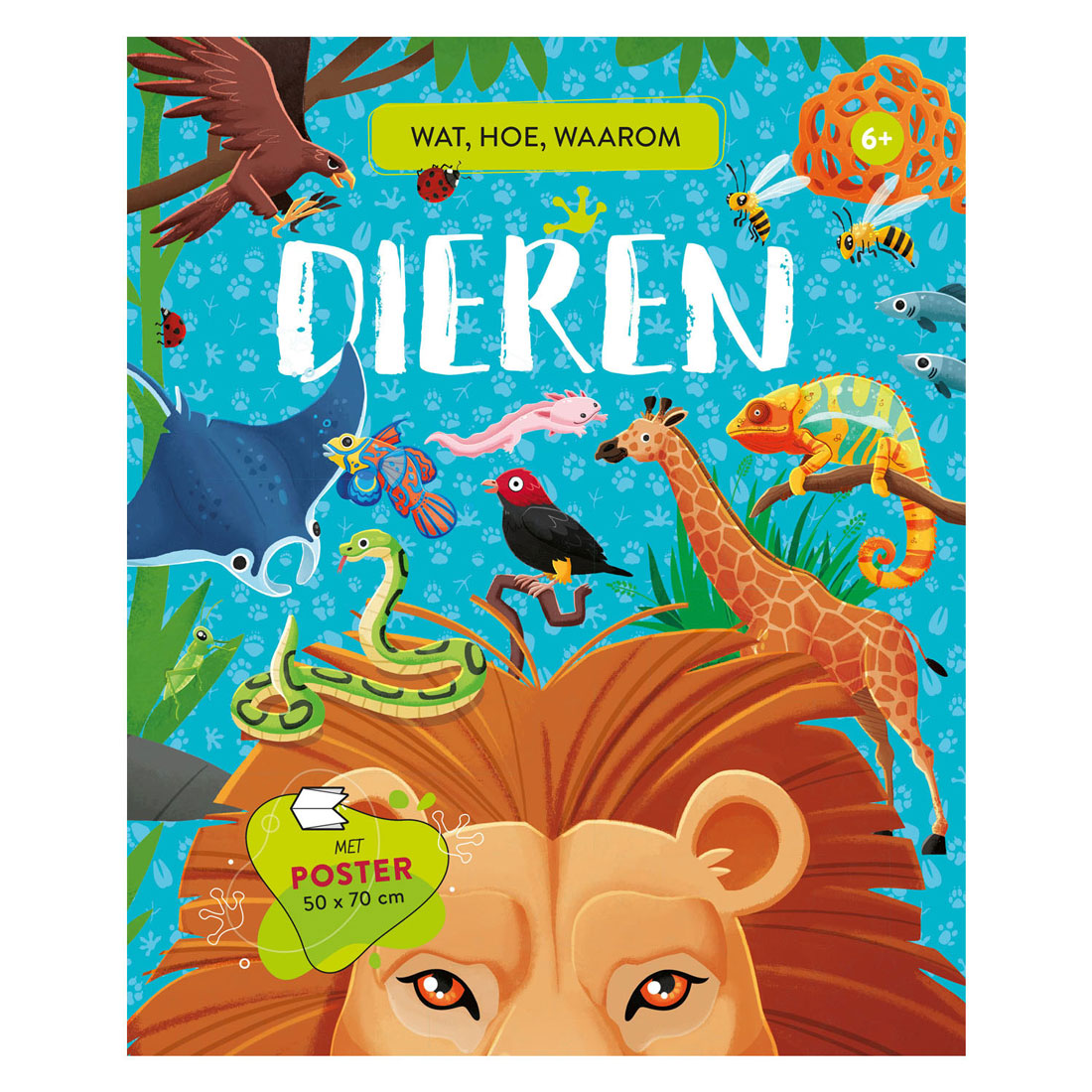 Rebo Publishers Animals Was, Wie, warum