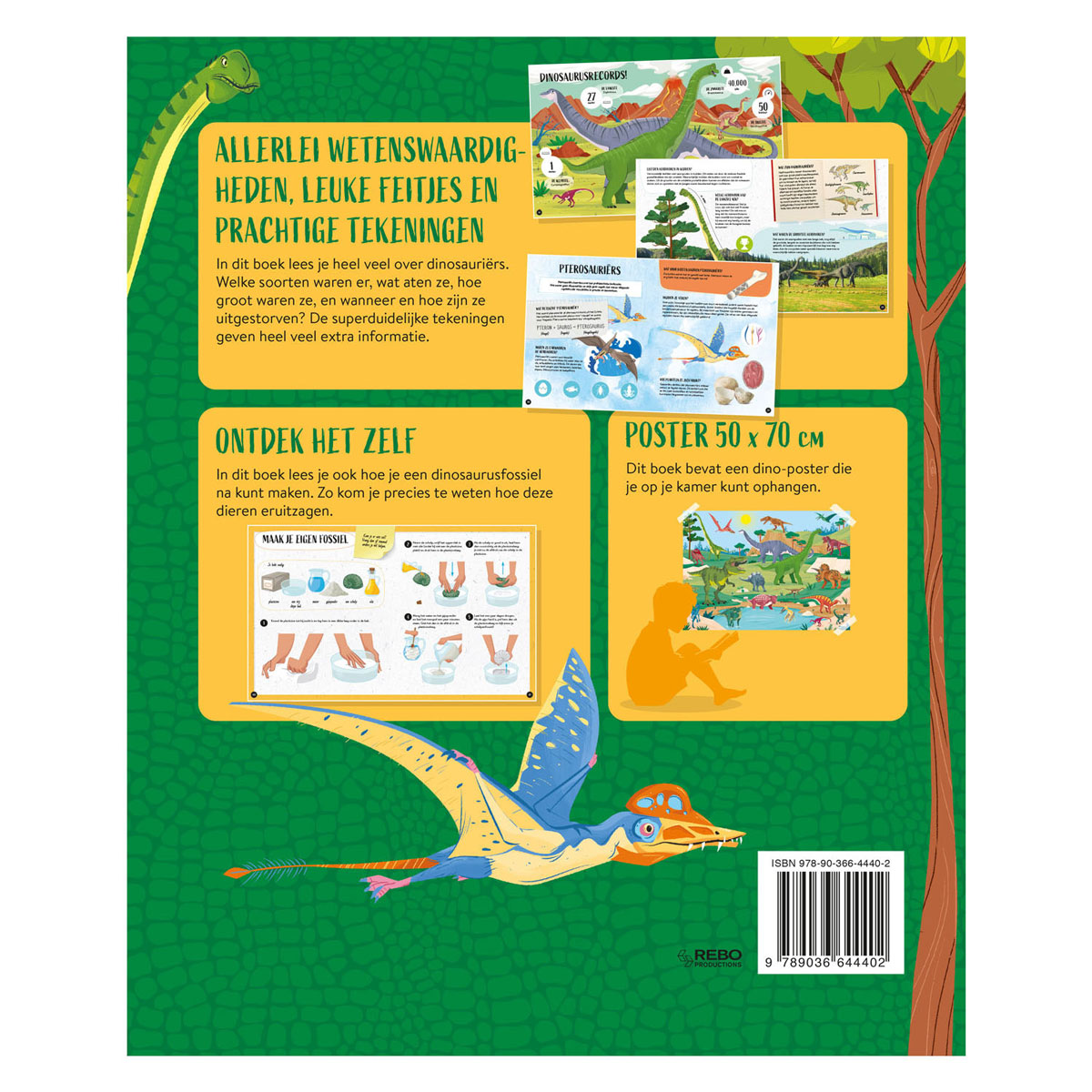 Rebo Publishers Dinosaurier was, wie, warum