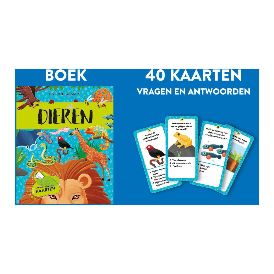 Rebo Publishers Dieren Fakten spielen Set Set Set