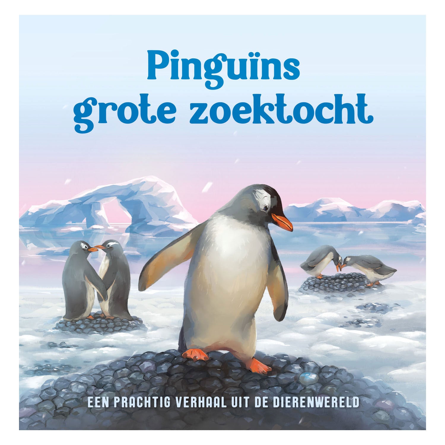 Rebo Publishers Penguins große Suche