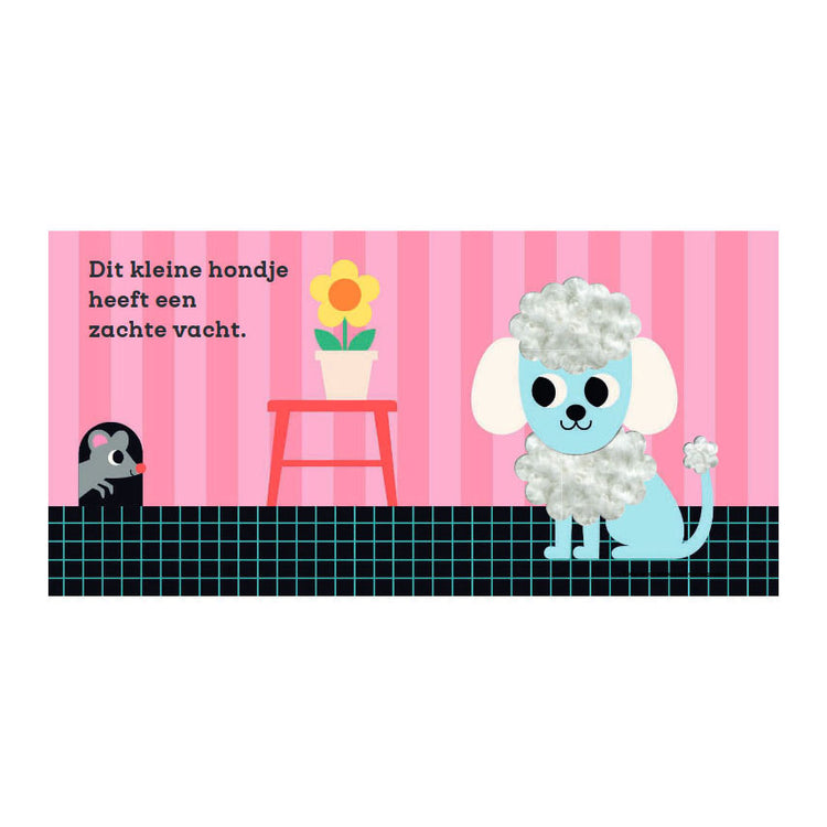 Tastbuch der Gottmer-Verlagsgruppe: Dieser kleine Hund 1+