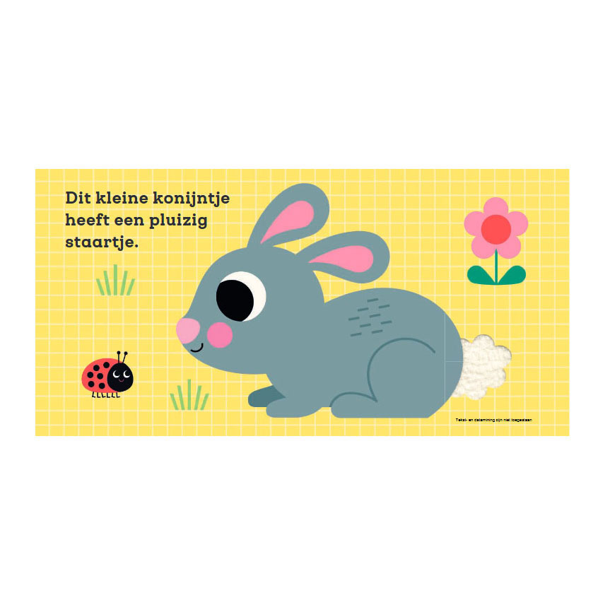 Tastbuch der Gottmer-Verlagsgruppe: Dieser kleine Hase 1+