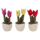 Nehmen Sie mich nach Hause Tulp Plant Kuschelplüsch, 27 cm